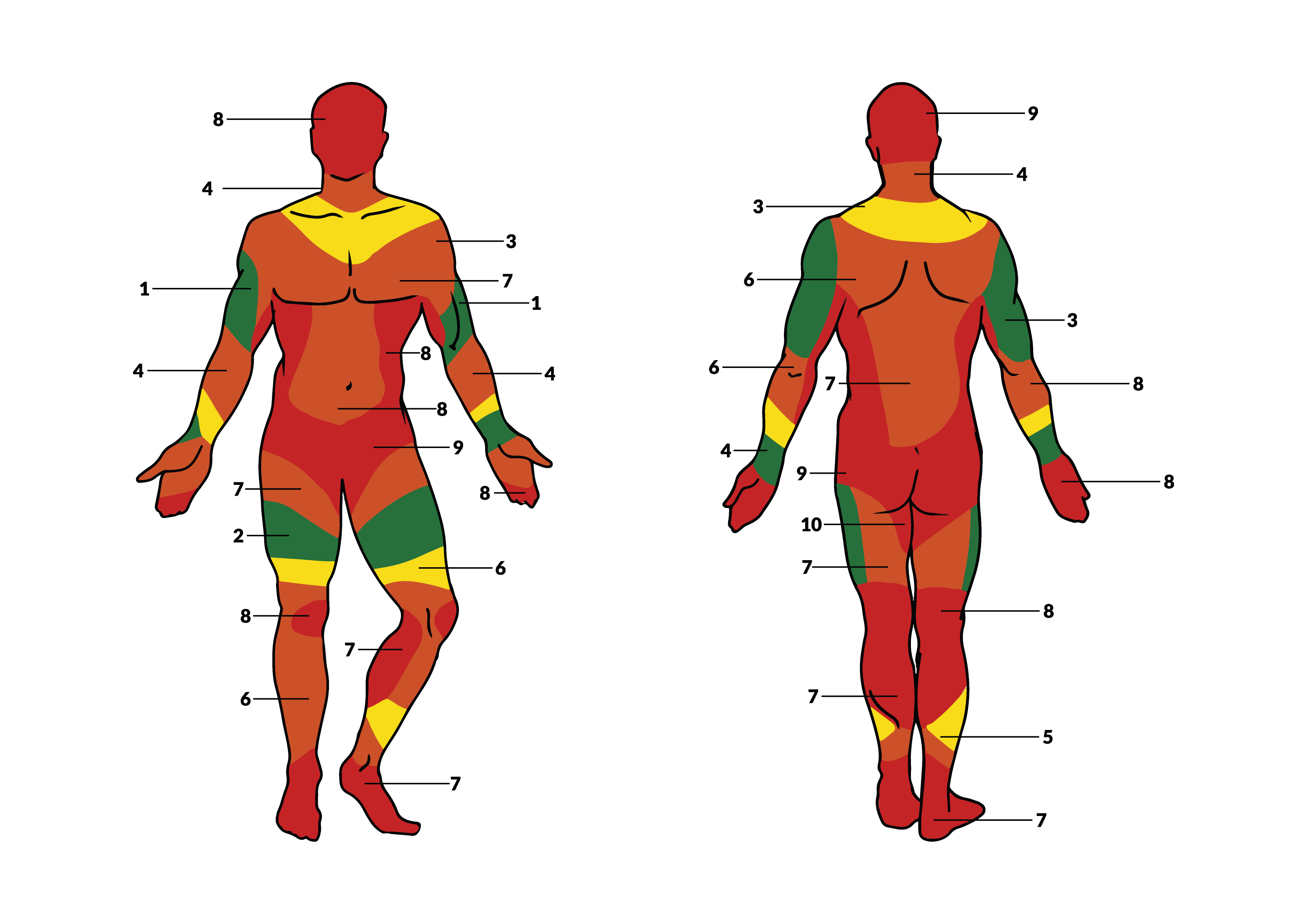 Due silhouette colorate di verde, giallo, arancione e rosso con numeri che indicano il livello di dolore del tatuaggio. Il verde per le zone meno dolorose, poi il giallo, l'arancione e il rosso. Le due silhouette sono una di fronte e una di spalle