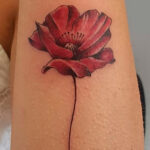 Tatuaggio cover up. fiore rosso